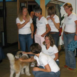 db_IMG_17481_Tb270x270jpg.png